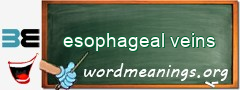 WordMeaning blackboard for esophageal veins